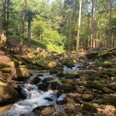 Gite " Oree Des Bois" Vertolaye ภายนอก รูปภาพ