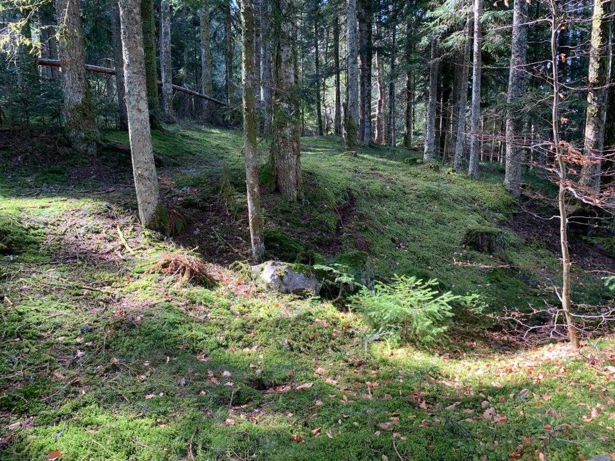 Gite " Oree Des Bois" Vertolaye ภายนอก รูปภาพ