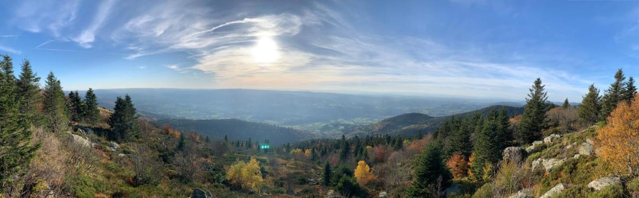 Gite " Oree Des Bois" Vertolaye ภายนอก รูปภาพ