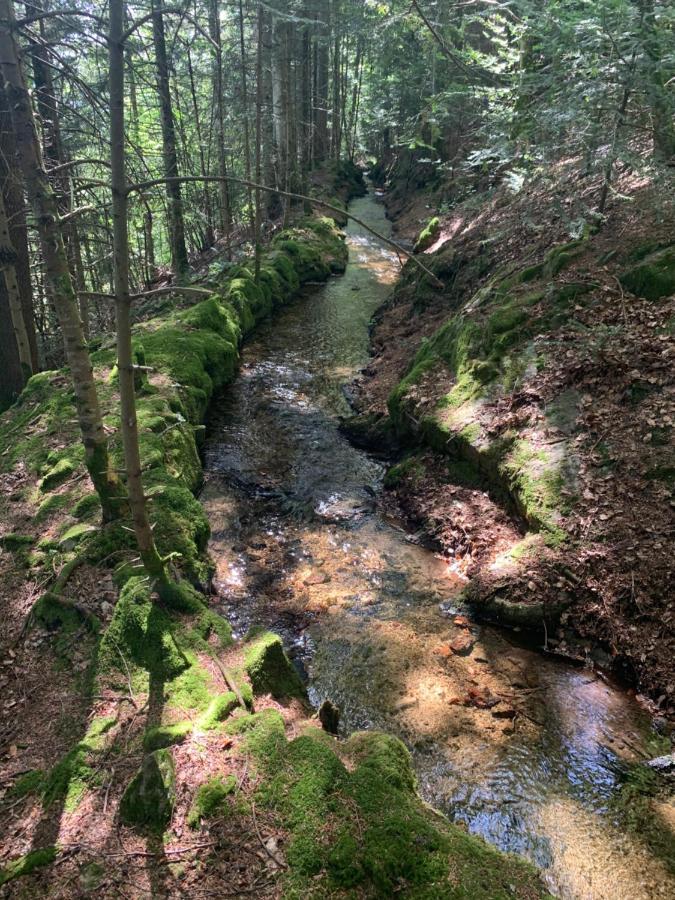 Gite " Oree Des Bois" Vertolaye ภายนอก รูปภาพ