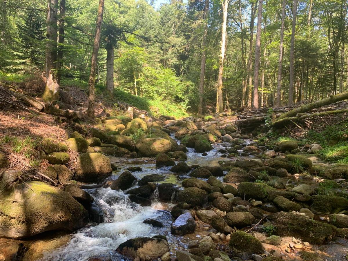 Gite " Oree Des Bois" Vertolaye ภายนอก รูปภาพ