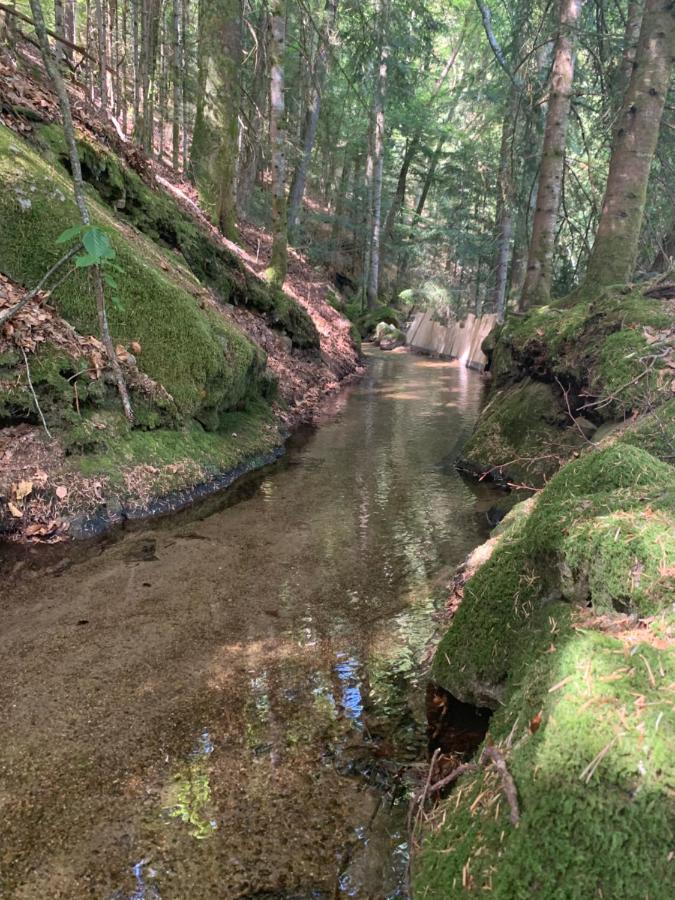 Gite " Oree Des Bois" Vertolaye ภายนอก รูปภาพ