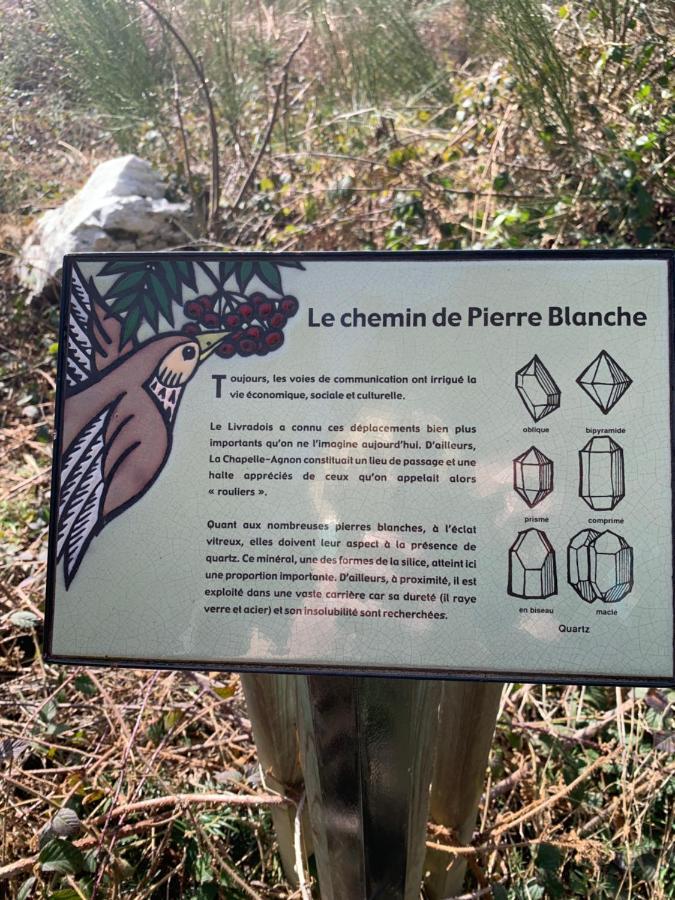 Gite " Oree Des Bois" Vertolaye ภายนอก รูปภาพ