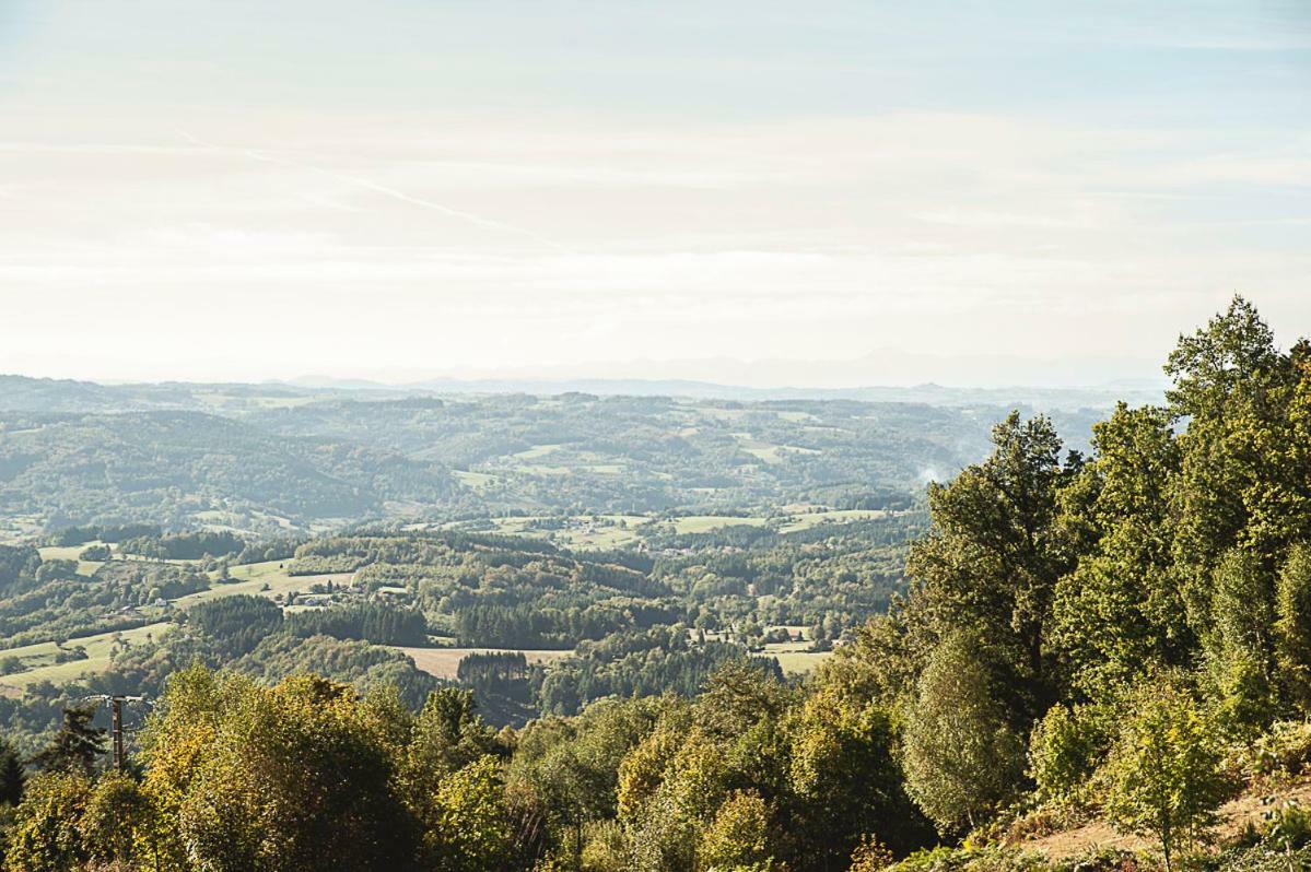 Gite " Oree Des Bois" Vertolaye ภายนอก รูปภาพ